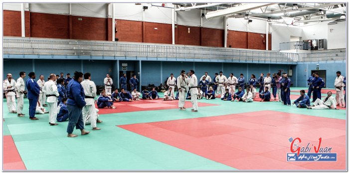 STAGE JUDO MADRID 14 00090